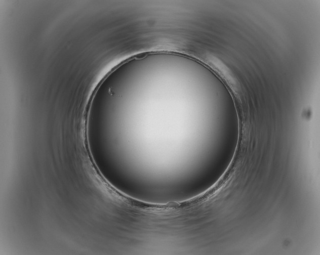 X0000097631340200803071523