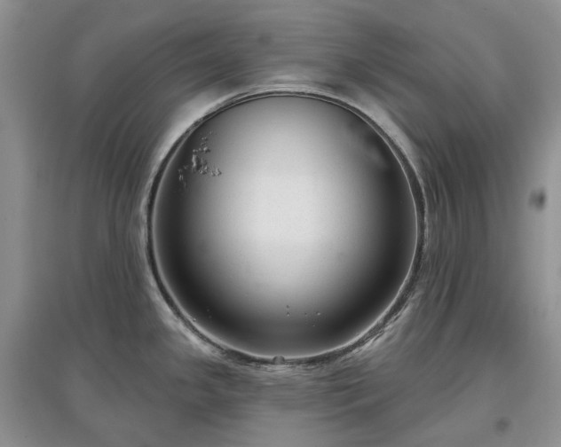 X0000097631341200803071523