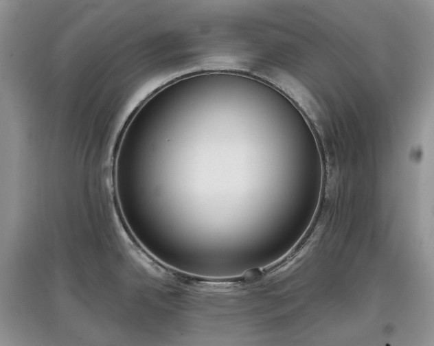 X0000097631342200803071523