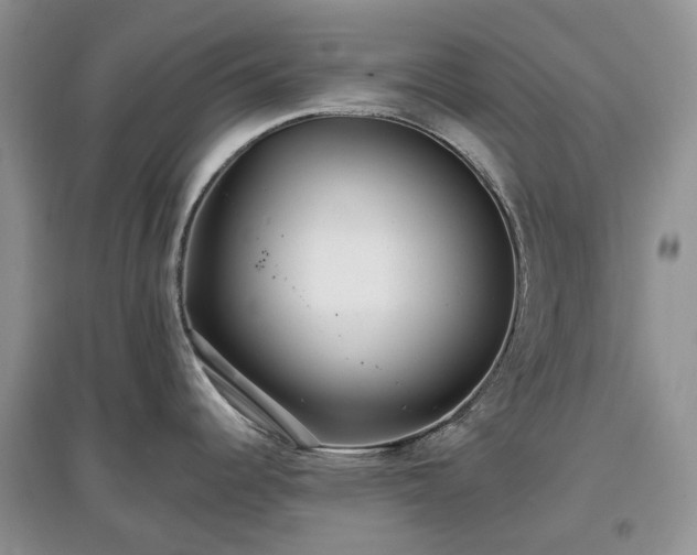 X0000097631344200803071523