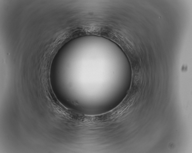 X0000097631345200803071522