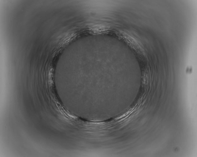 X0000097631346200803071522