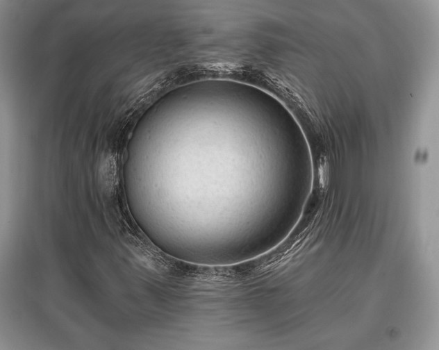 X0000097631347200803071522