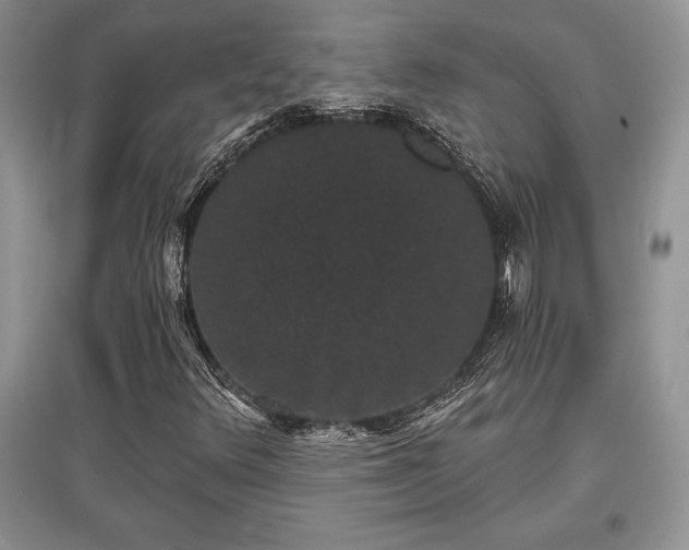 X0000097631348200803071522