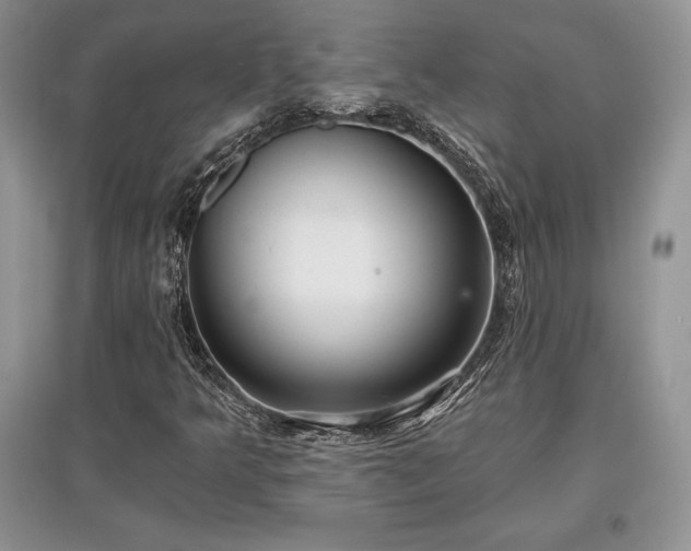 X0000097631349200803071522