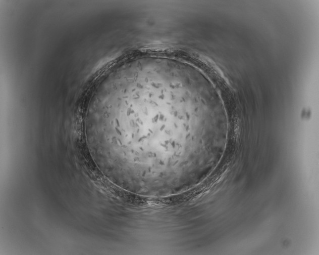 X0000097631350200803071522