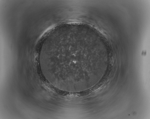 X0000097631351200803071522