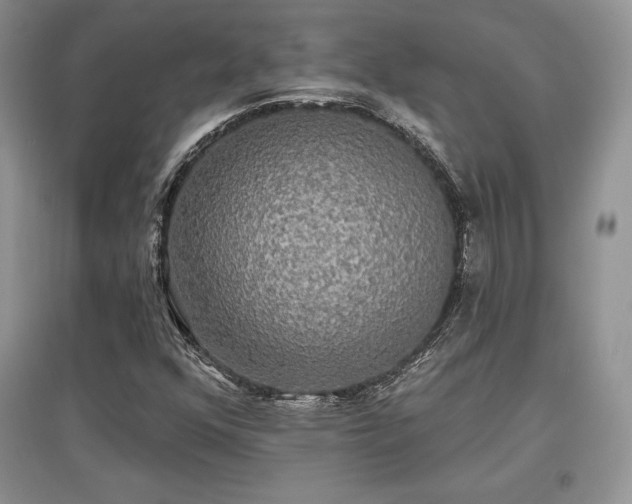 X0000097631352200803071522