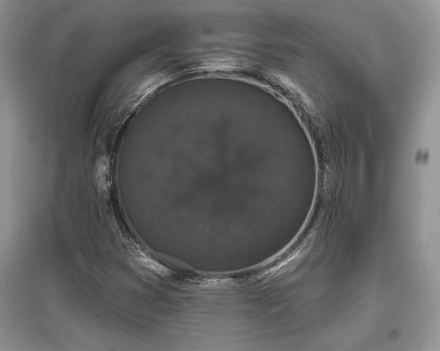 X0000097631353200803071522