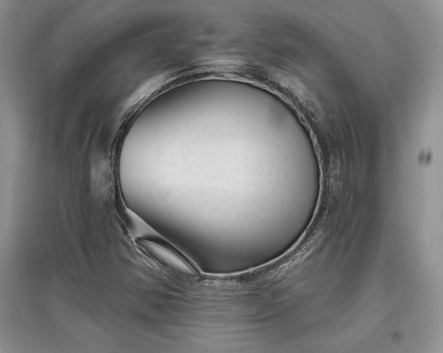 X0000097631354200803071522