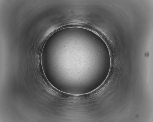 X0000097631355200803071522