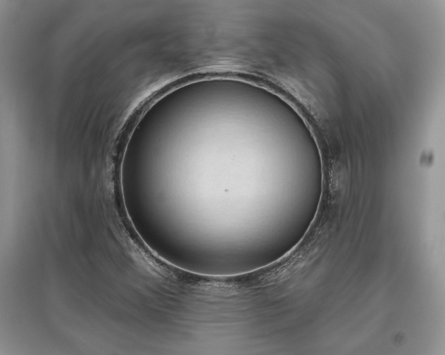 X0000097631356200803071522