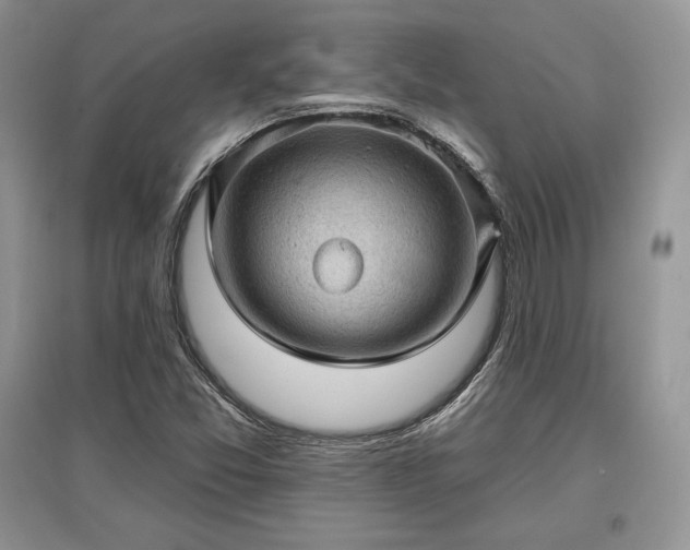 X0000097631357200803071522