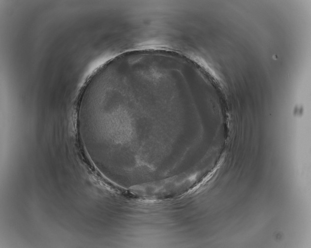 X0000097631358200803071522