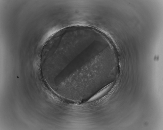 X0000097631359200803071522