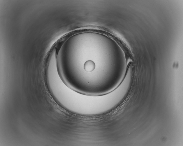 X0000097631360200803071522