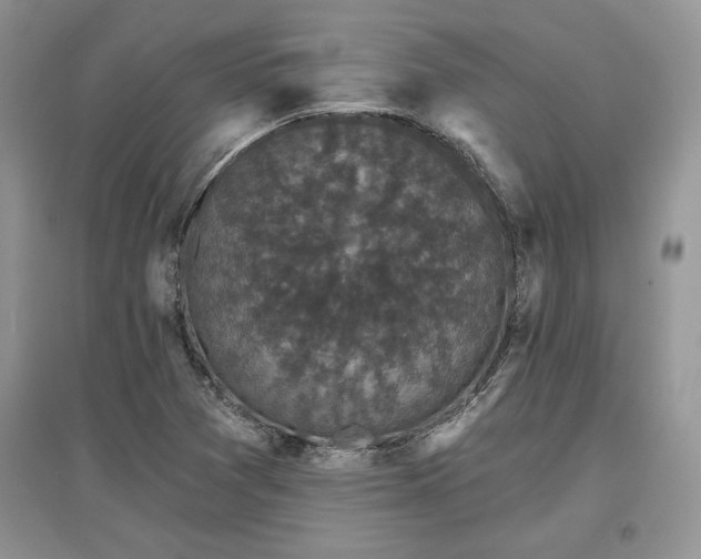 X0000097631361200803071522