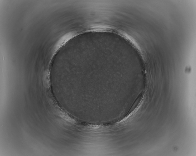 X0000097631362200803071522