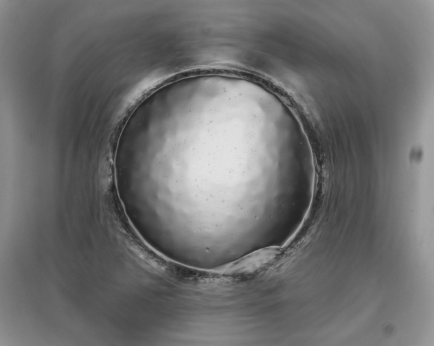 X0000097631363200803071522