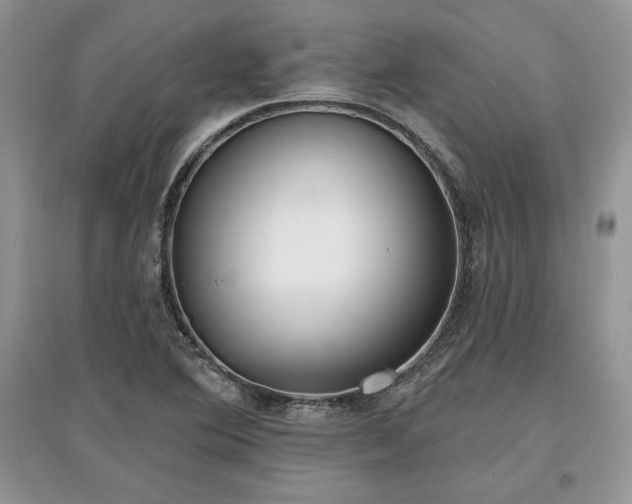 X0000097631364200803071522