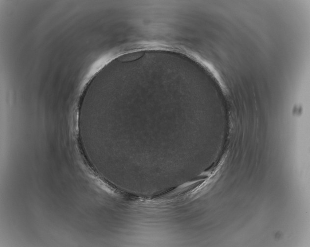 X0000097631365200803071522