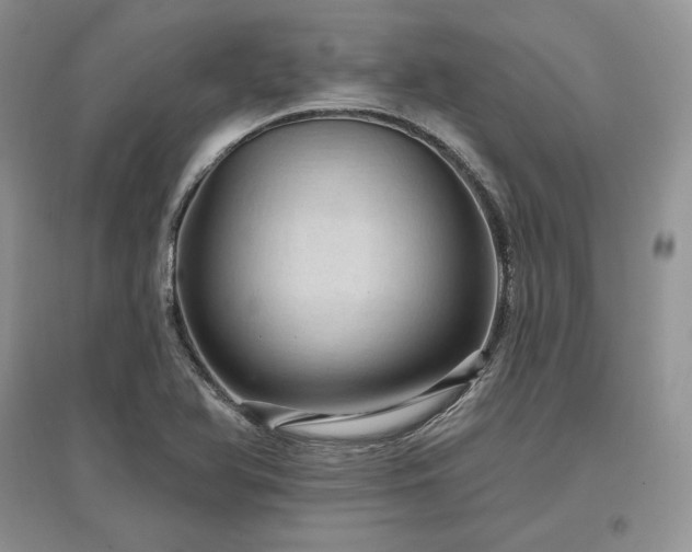 X0000097631366200803071522