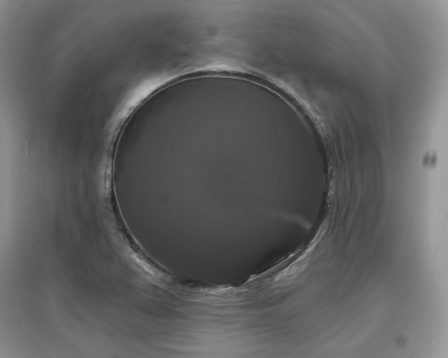 X0000097631367200803071522