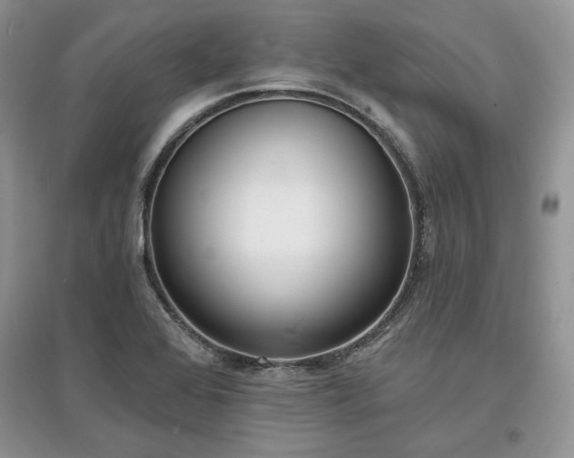 X0000097631368200803071522