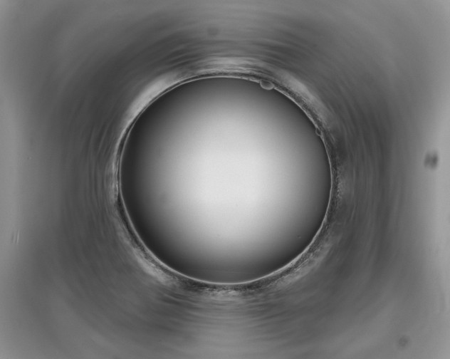 X0000097631370200803071522