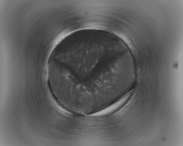 X0000097631371200803071522