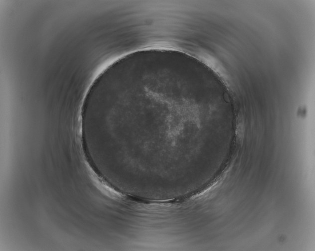 X0000097631372200803071522