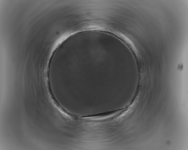 X0000097631373200803071522