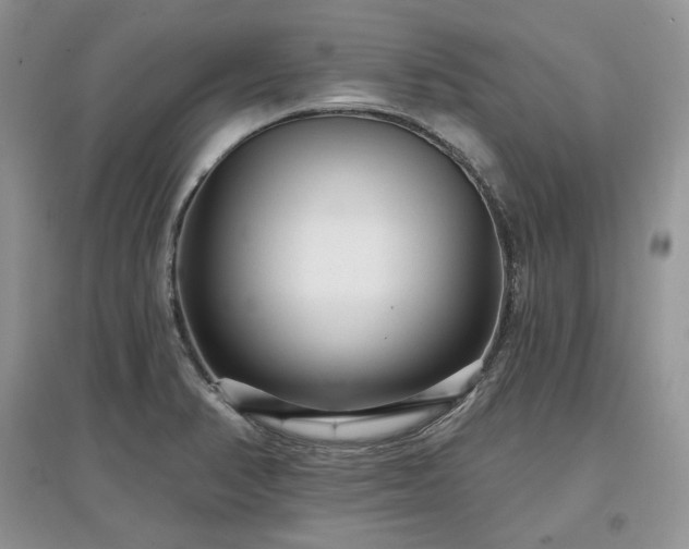 X0000097631374200803071522