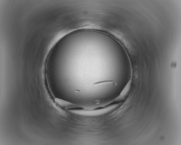 X0000097631375200803071522