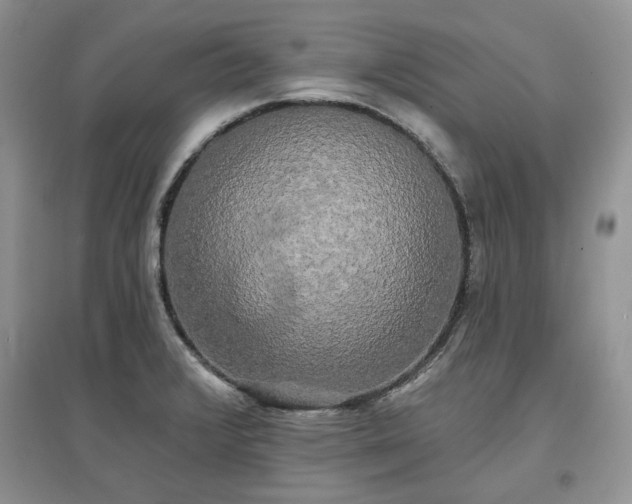 X0000097631376200803071522