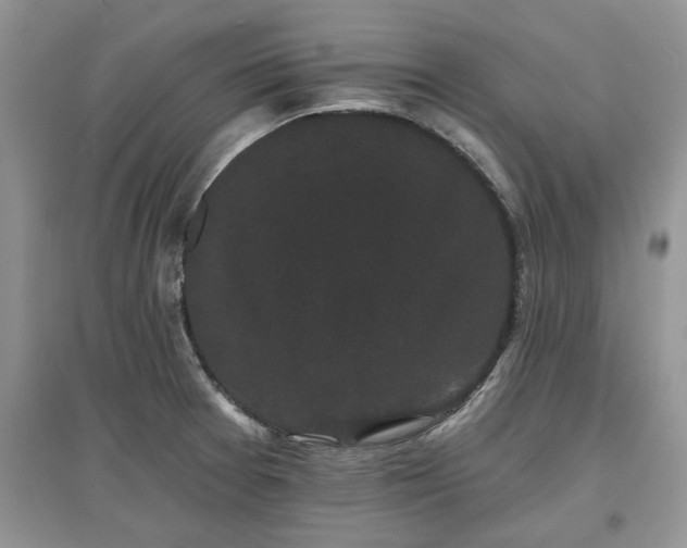 X0000097631377200803071522