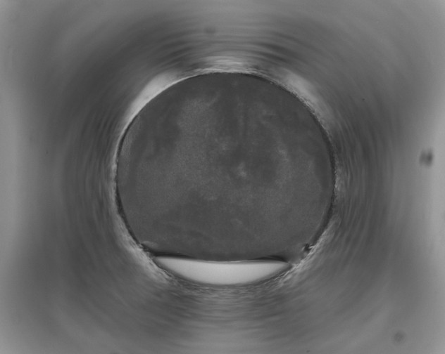 X0000097631378200803071522