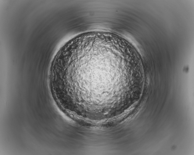 X0000097631379200803071522