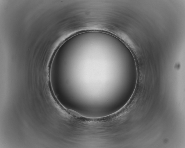 X0000097631380200803071522