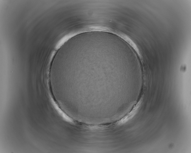 X0000097631381200803071522