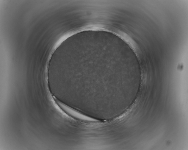 X0000097631382200803071522