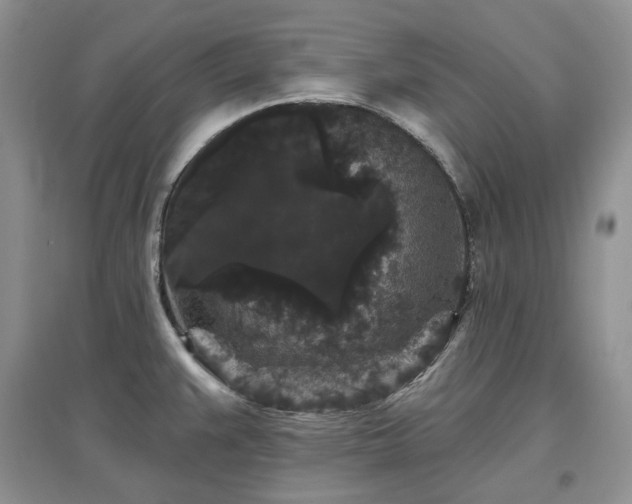 X0000097631383200803071522