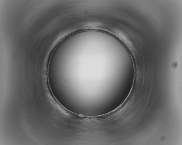 X0000097631384200803071522