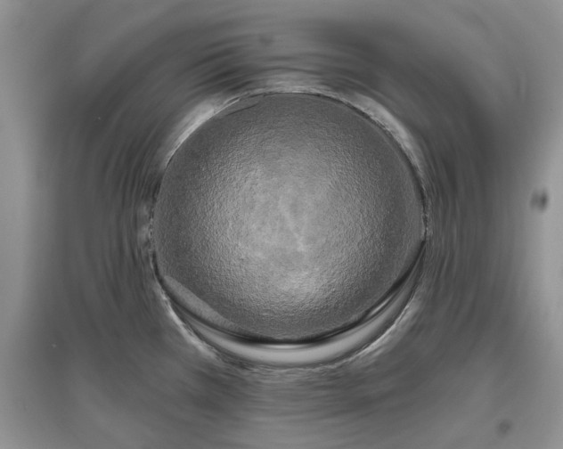 X0000097631385200803071522