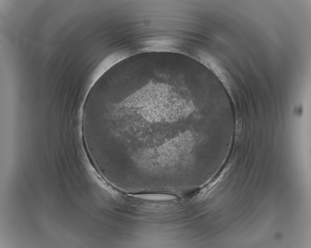 X0000097631386200803071522