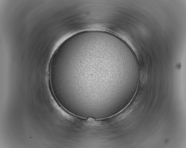 X0000097631387200803071522