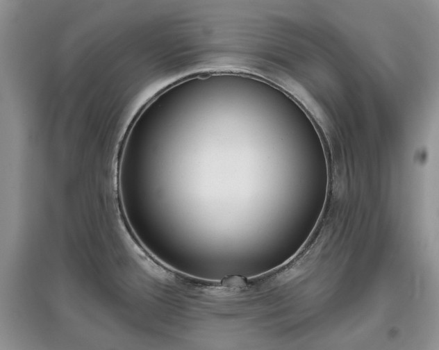 X0000097631388200803071522