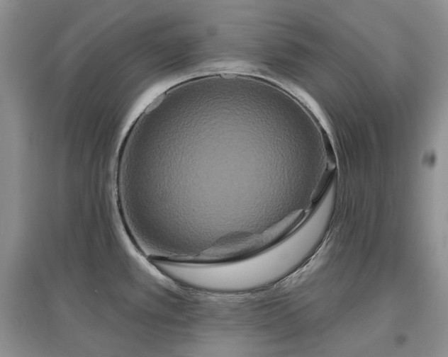 X0000097631389200803071522