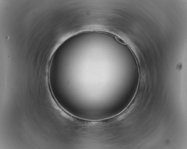 X0000097631390200803071522