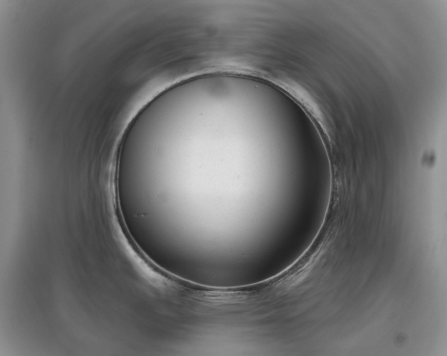 X0000097631391200803071522